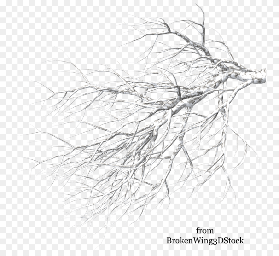 A Tree In Winter Backgrounds V Winter Tree Branch Hd, Plant, Root, Ice Free Transparent Png