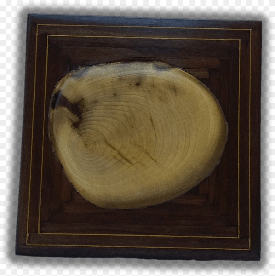 A Tree Section Picture Frame, Wood, Plant Png Image