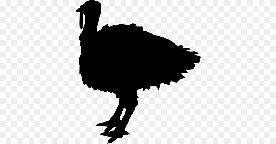 A Turkey, Gray Free Png Download