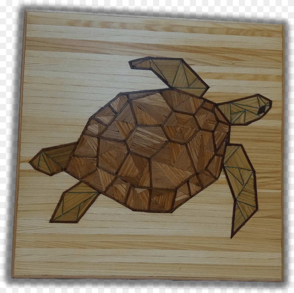 A Turtle Desert Tortoise, Plywood, Wood, Animal, Reptile Png