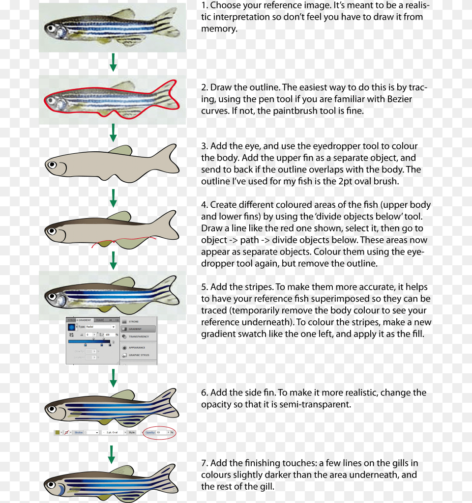 A Tutorial On Drawing A Relatively Realistic Fish In Draw A Zebrafish, Animal, Sea Life, Cutlery Free Transparent Png