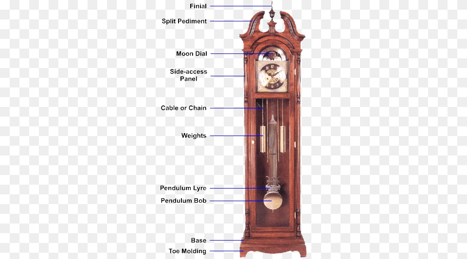 A Typical Grandfather Clock Anatomy Of A Pendulum Clock, Analog Clock Png Image