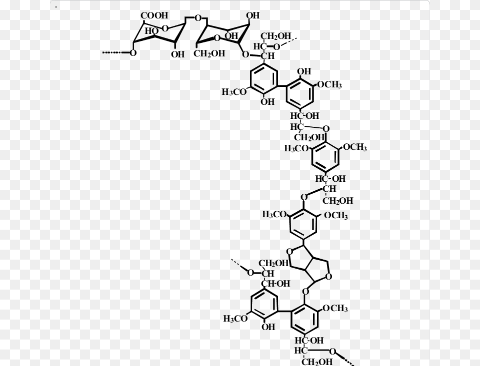 A Typical Partial Structure Of The Lcc Obtained From Diagram, Blackboard Free Png