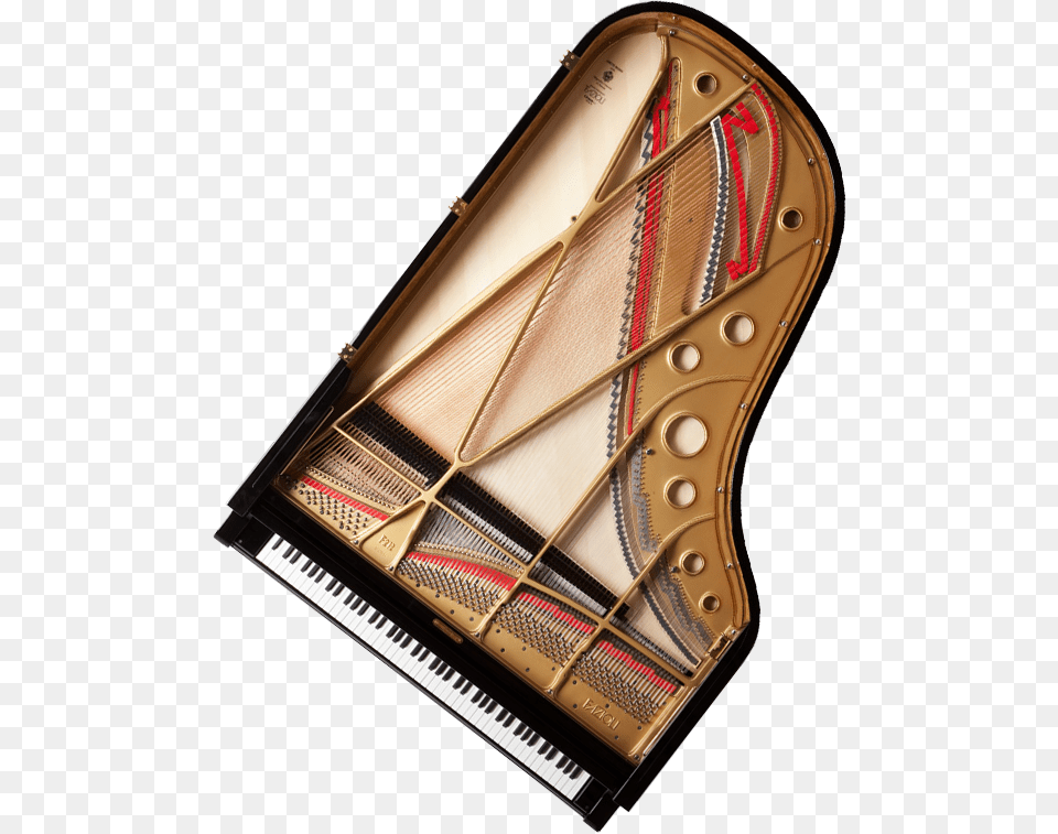 A View Of The Top And Inside Of A Fazioli Grand Piano Piano From The Top, Grand Piano, Keyboard, Musical Instrument Png