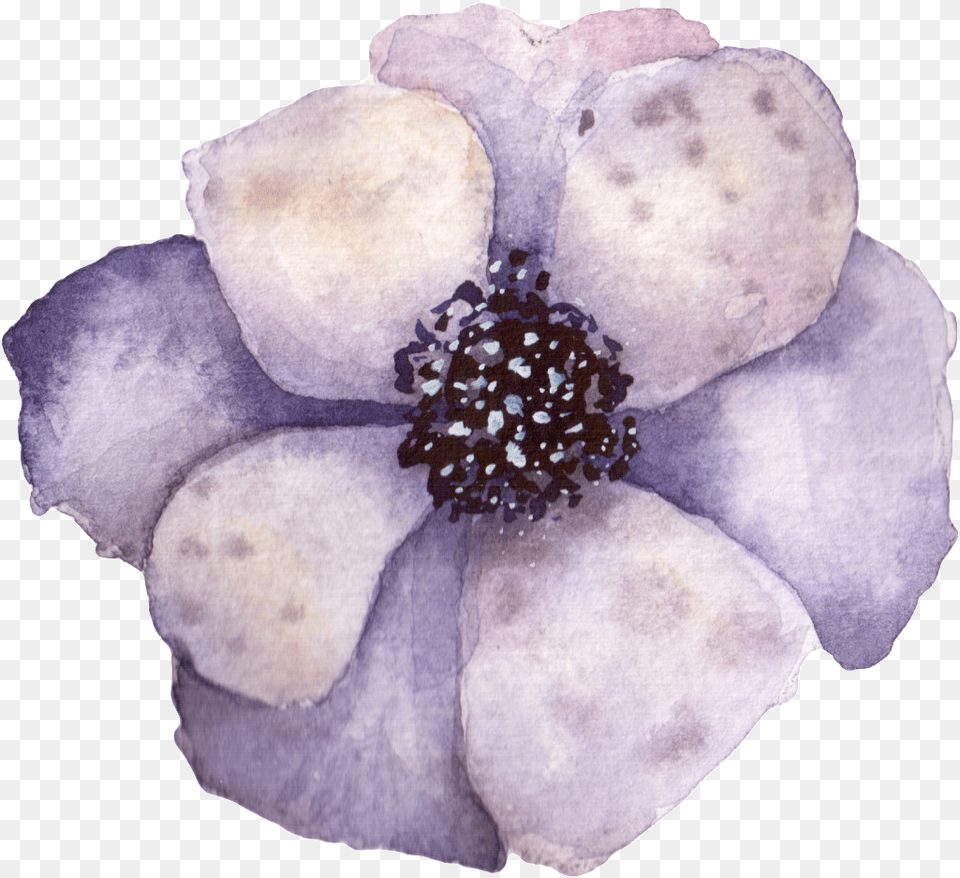A Vintage Flower Artificial Flower, Anemone, Pollen, Plant, Petal Png
