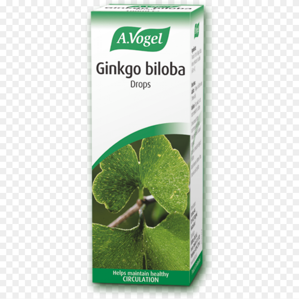 A Vogel Ginkgo Biloba 50ml Avogel Ginkgo Biloba Drops, Herbal, Herbs, Leaf, Plant Png Image