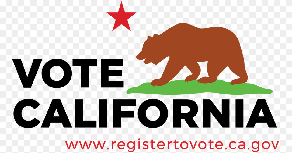 A Voting Guide For Thoughtful And Progressive Californians, Animal, Bear, Mammal, Wildlife Free Transparent Png