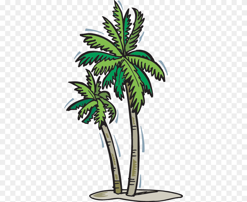 A Walk In The Rain Forest Tree Gif, Palm Tree, Plant, Animal, Dinosaur Free Transparent Png