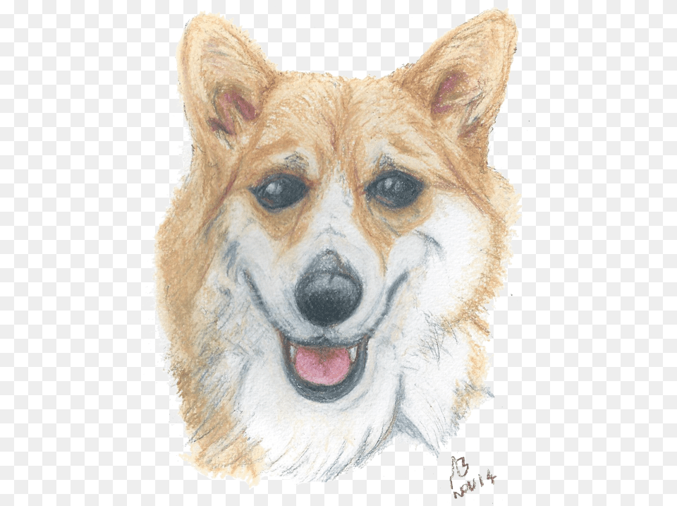 A Watercolour Pencil Drawing Of A Corgi Pembroke Welsh Corgi, Animal, Canine, Dog, Mammal Free Png Download