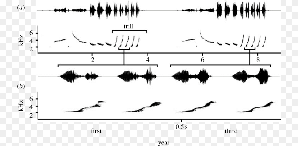 A Waveform And Spectrogram Of A Song Stimulus Pair Song, Chart, Plot Png