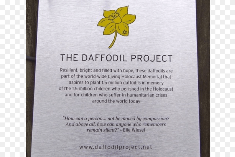 A Week After The Daffodil Project On Jan Narcissus, Advertisement, Poster, Plaque, Book Png Image