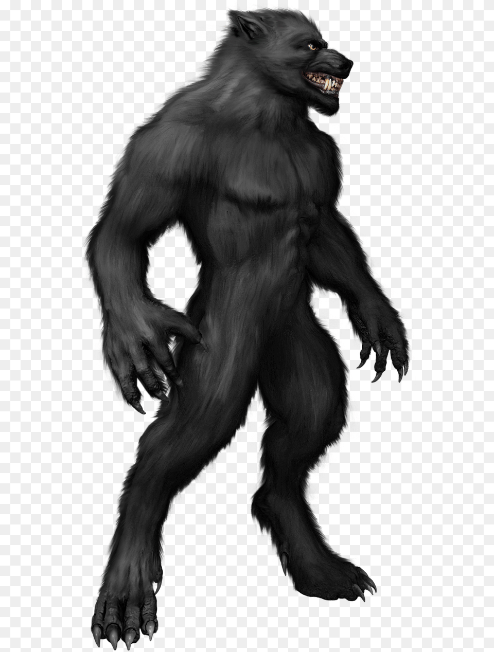 A Werewolf And Home Depot Bipedal Wolf, Animal, Ape, Mammal, Wildlife Png