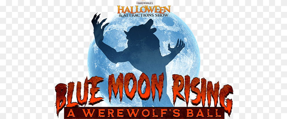 A Werewolfs Ball Full Moon, Advertisement, Wildlife, Mammal, Bear Png Image