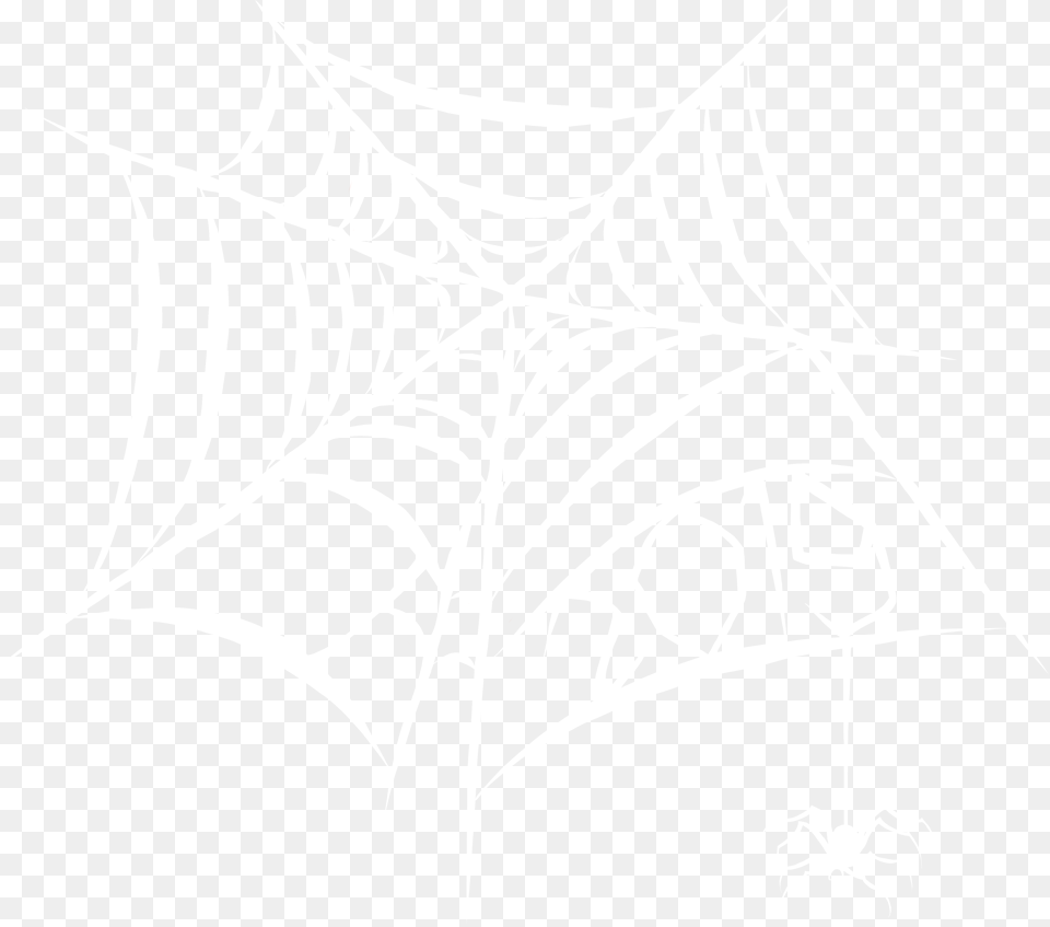 A White Spiderweb With 2019 Spelled Out In The Web Illustration, Spider Web, Plant Free Png Download