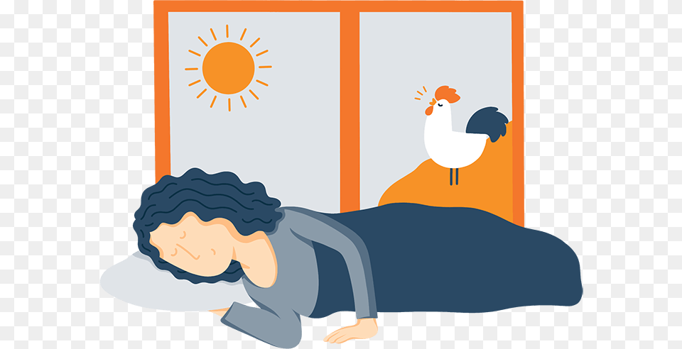 A Woman In Bed Sleeping While A Rooster Crows Illustration Sleeping Cartoon Hd, Animal, Poultry, Fowl, Chicken Free Png Download