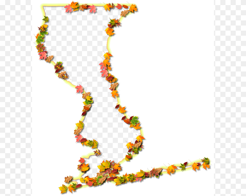A Yellow And Orange Outline Map Of Escambia With Fall Illustration, Accessories, Flower, Flower Arrangement, Ornament Free Transparent Png