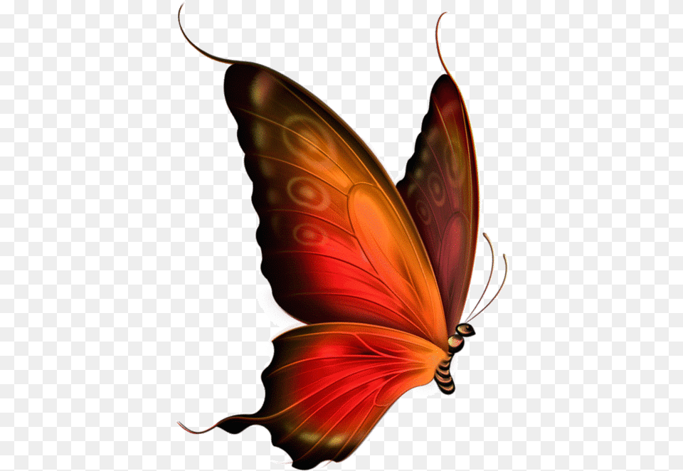 A3eae E68db70b Xl Transparent Background Butterfly Gif, Animal, Insect, Invertebrate, Smoke Pipe Free Png Download