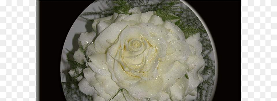 Aaa Rosmelia Blanca I Florist Flores Alcal De Henares Alcal, Flower, Plant, Rose, Petal Free Png Download