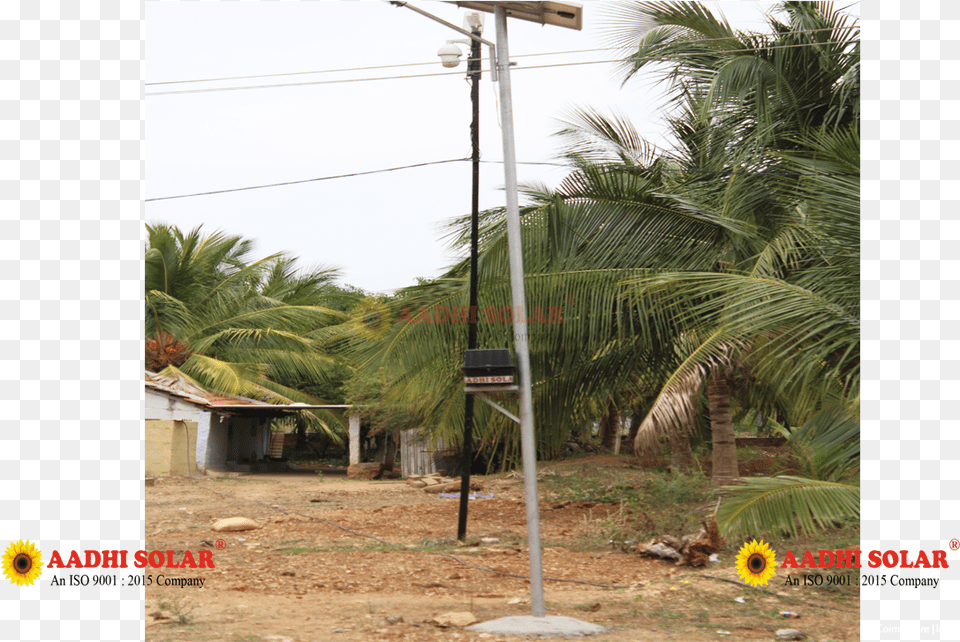 Aadhi Solar Street Light Manufacture In India Attalea Speciosa, Outdoors, Architecture, Rural, Nature Free Png Download