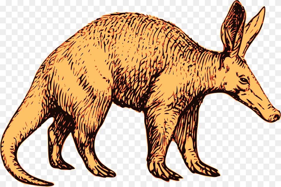 Aardvark Africa African Animal Mammal Nocturnal Transparent Aardvark, Wildlife, Dinosaur, Reptile Free Png Download