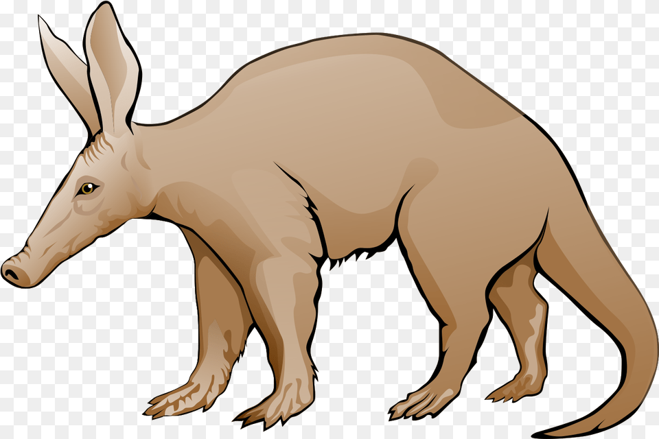 Aardvark Clip Art, Animal, Wildlife, Mammal, Fish Png Image