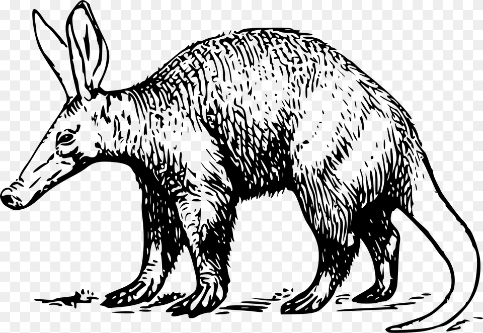 Aardvark Clipart, Animal, Mammal, Wildlife Free Transparent Png