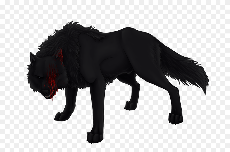 Aaron Black Wolf, Animal, Mammal, Adult, Female Free Png Download