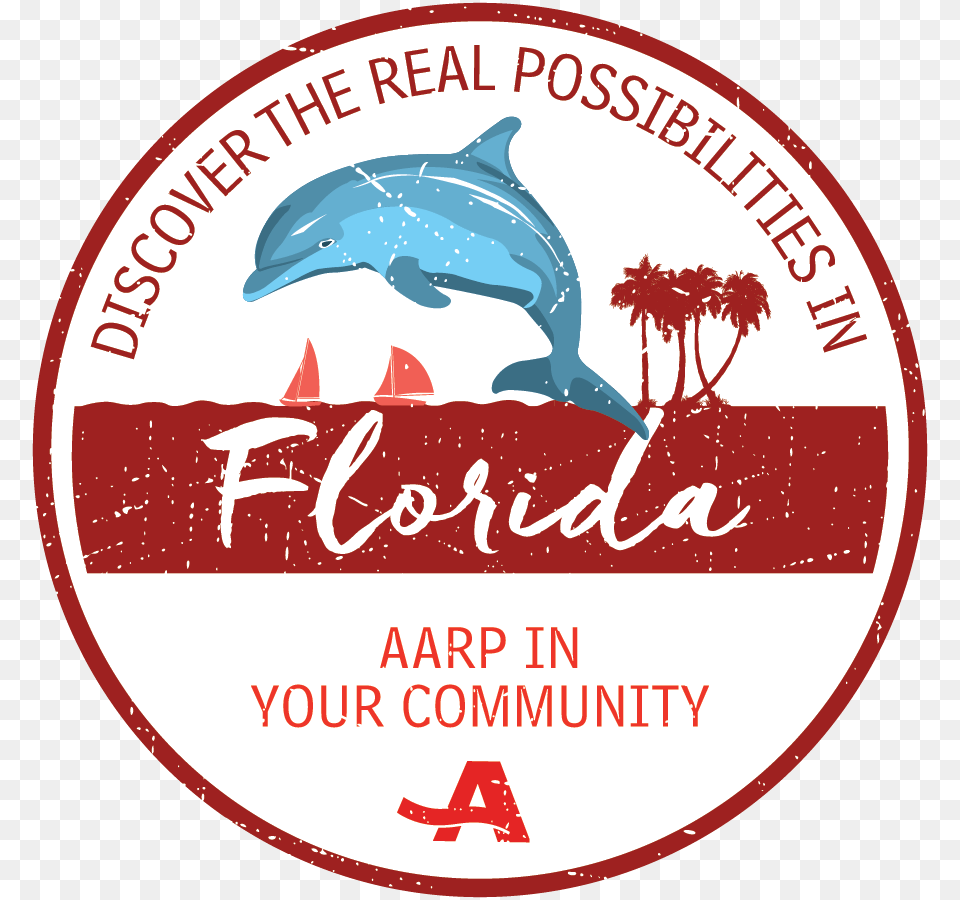 Aarp Florida, Animal, Dolphin, Mammal, Sea Life Free Transparent Png