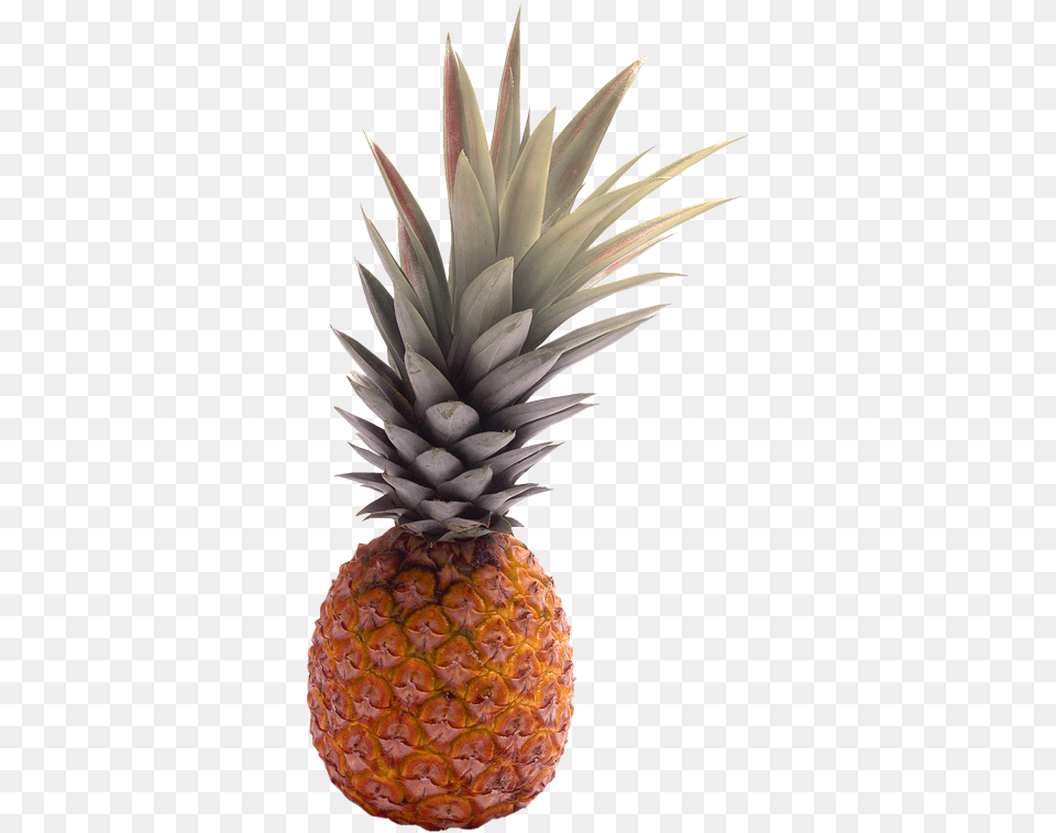 Abacaxi Abacaxi Fundo Transparente, Food, Fruit, Pineapple, Plant Free Png Download