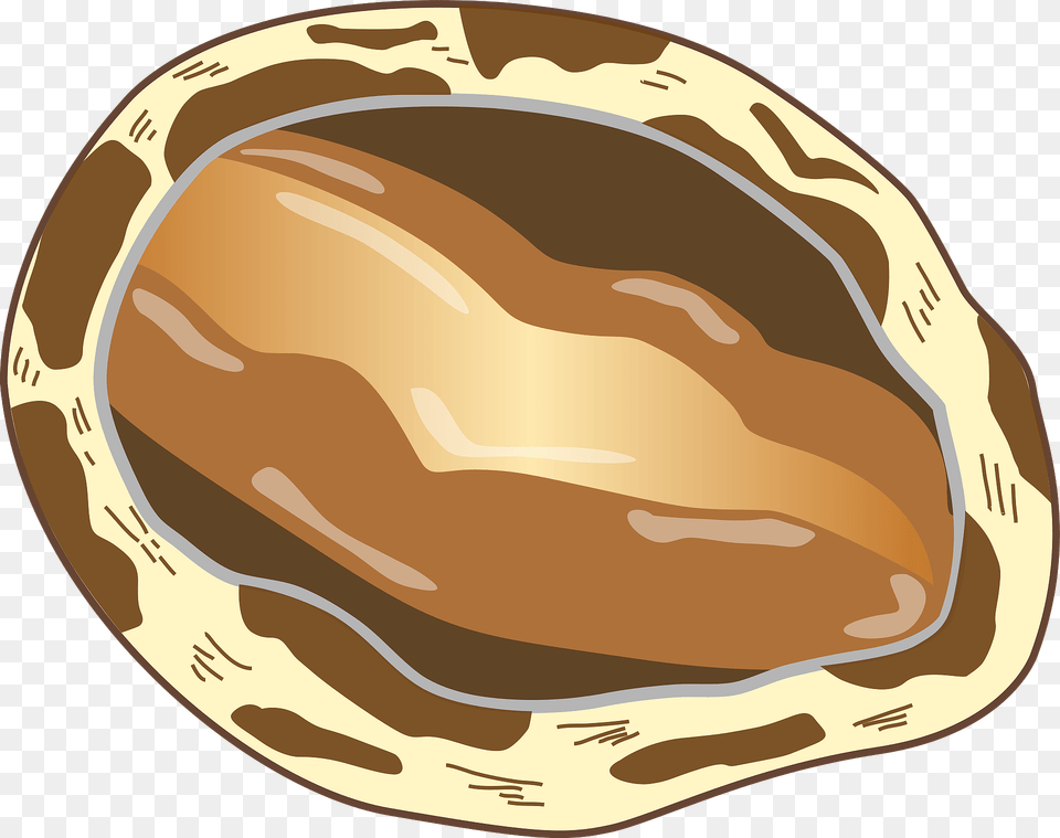 Abalone Shellfish Clipart, Food, Nut, Plant, Produce Png Image