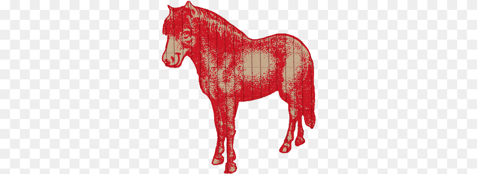 Abc Pony Mane, Animal, Mammal, Horse, Colt Horse Png