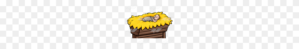 Abeka Clip Art Baby Jesus In A Manger, Flower, Plant, Sunflower, Person Free Png