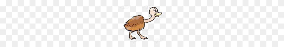 Abeka Clip Art Baby Ostrich, Animal, Beak, Bird, Vulture Free Transparent Png