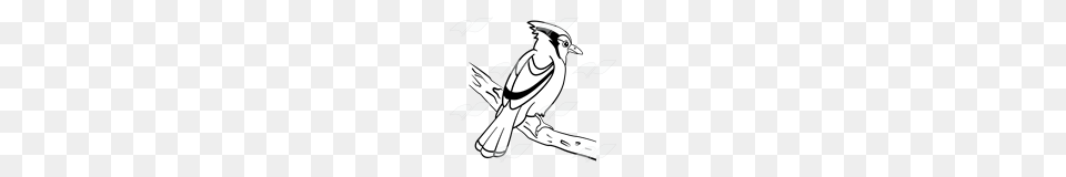 Abeka Clip Art Blue Jay On A Branch, Animal, Bird, Blue Jay, Bluebird Png Image