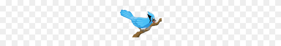 Abeka Clip Art Blue Jay On A Branch, Animal, Bird, Blue Jay, Bluebird Free Transparent Png