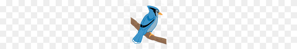Abeka Clip Art Blue Jay On A Branch, Animal, Bird, Blue Jay, Bluebird Free Transparent Png