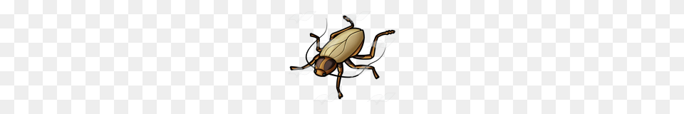 Abeka Clip Art Brown Cockroach, Animal, Insect, Invertebrate Free Transparent Png