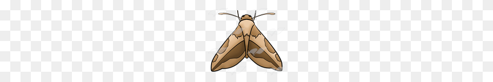 Abeka Clip Art Brown Moth, Animal, Butterfly, Insect, Invertebrate Free Transparent Png