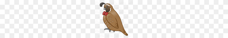 Abeka Clip Art Brown Quail With Red Bow Tie, Animal, Bird, Finch, Smoke Pipe Png