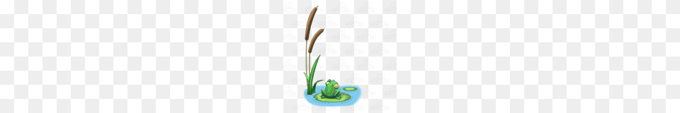 Abeka Clip Art Down, Plant, Flower, Amphibian, Frog Free Png