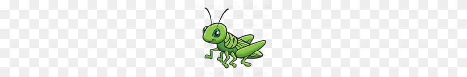 Abeka Clip Art Green Grasshopper With Green Eyes, Animal, Insect, Invertebrate Free Png