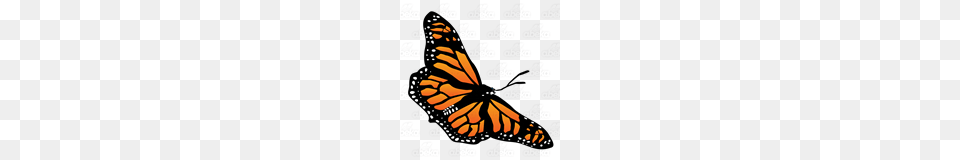 Abeka Clip Art Monarch Butterfly Diagonal, Animal, Insect, Invertebrate Png Image