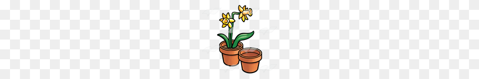 Abeka Clip Art Pots Of Daffodils Two Pots, Flower, Plant, Daffodil, Smoke Pipe Png Image