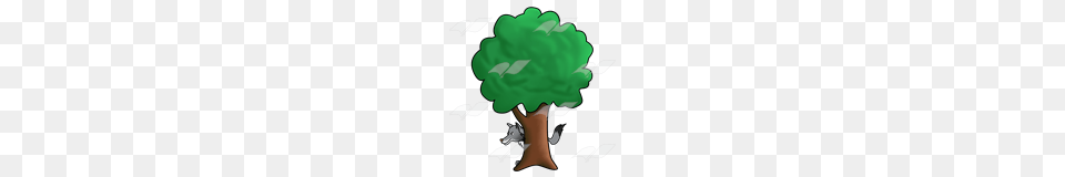 Abeka Clip Art Wolf Behind Tree, Green, Plant Free Transparent Png
