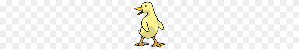 Abeka Clip Art Yellow Duckling Looking Behind, Animal, Bird, Duck, Beak Free Png