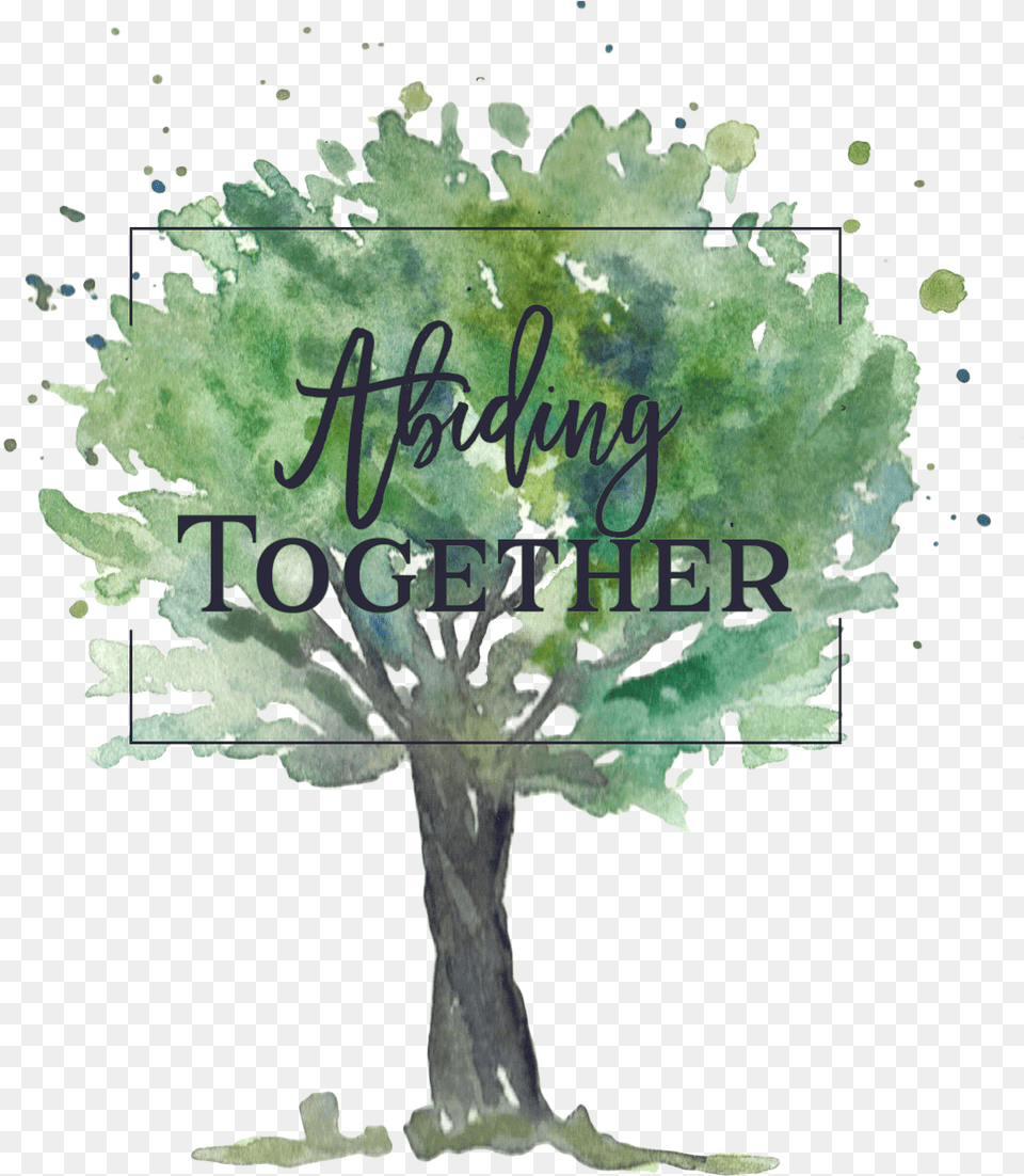 Abiding Together Christ Graphic, Oak, Plant, Sycamore, Tree Free Png