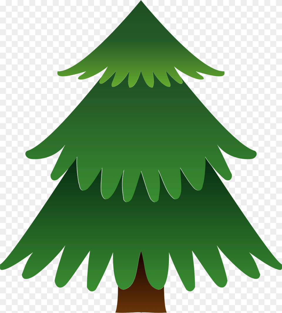 Abies Firma Momi Fir Japanese Fir Tree Clipart, Green, Plant, Christmas, Christmas Decorations Free Png Download
