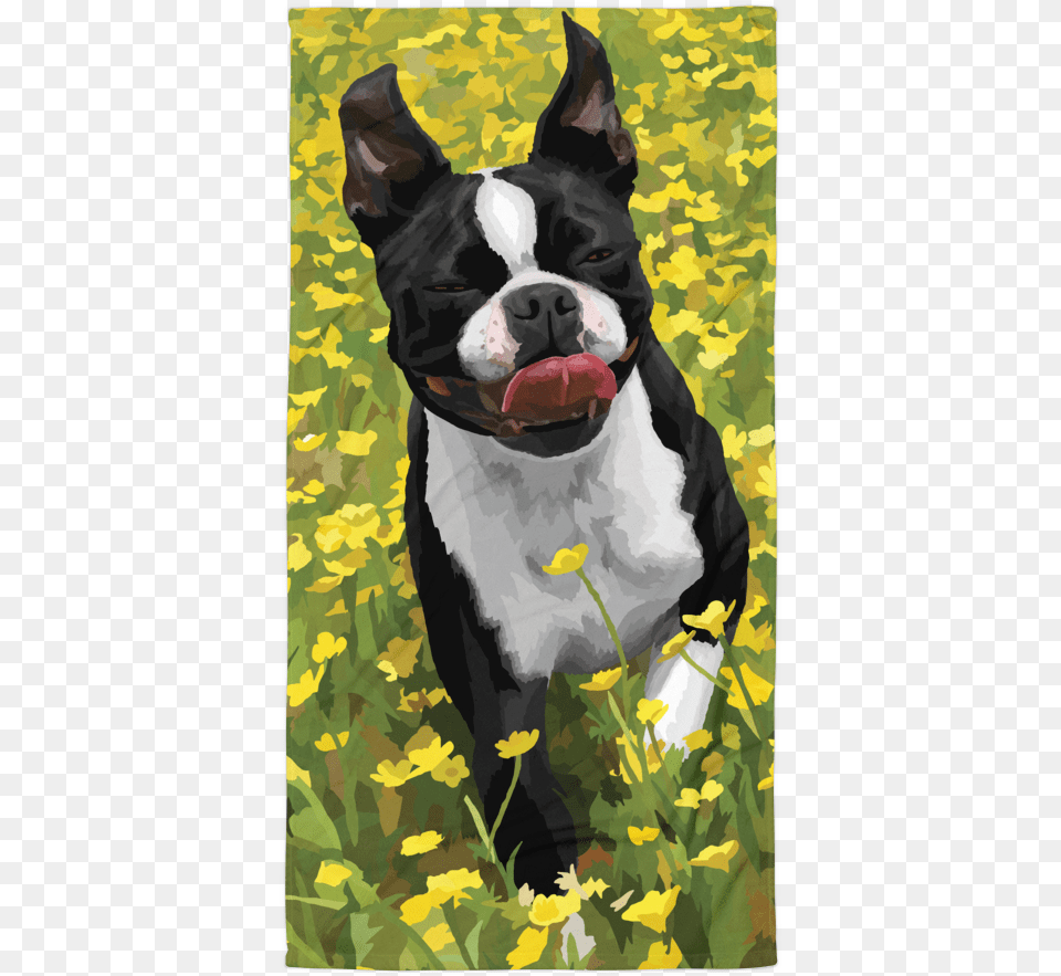 Abigail The Boston Terrier Boston Terrier Easter, Animal, Bulldog, Canine, Dog Png Image