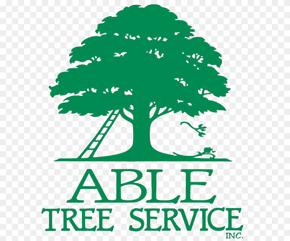 Able Tree Service, Green, Vegetation, Oak, Sycamore Free Transparent Png