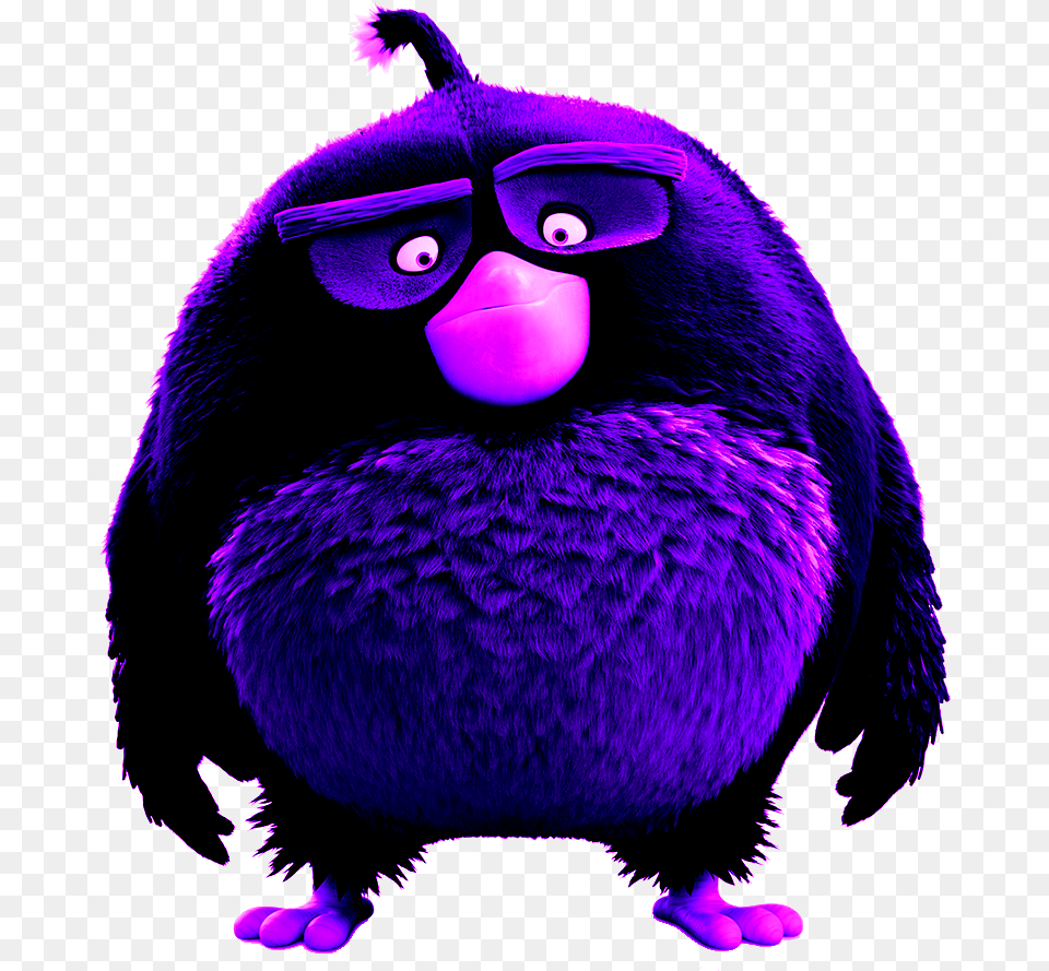Abmovie Bomb Angry Birds Pelicula Bomb, Purple, Animal, Bird, Cartoon Png